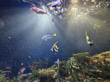 マリンワールド海の中道に投稿された画像（2023/10/28）