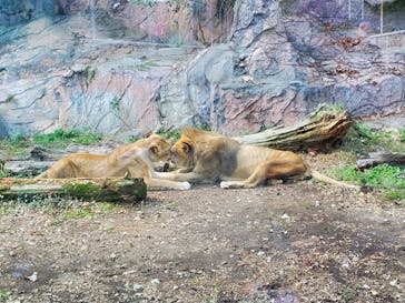 名古屋市東山動植物園に投稿された画像（2023/10/28）
