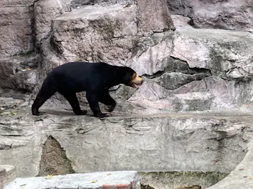 天王寺動物園に投稿された画像（2023/10/28）