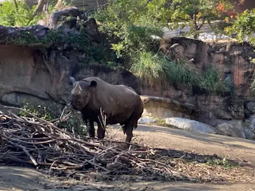 天王寺動物園に投稿された画像（2023/10/28）