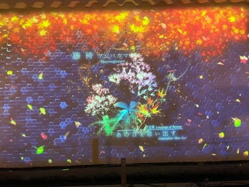 NAKED meets 二条城 2025 観月に投稿された画像（2023/10/28）