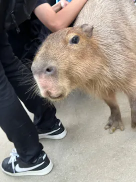 神戸どうぶつ王国に投稿された画像（2023/10/28）