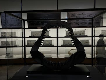 アクアワールド茨城県大洗水族館に投稿された画像（2023/10/28）