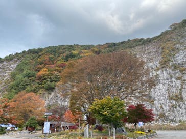 あぶくま洞に投稿された画像（2023/10/28）