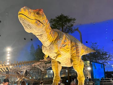 福井県立恐竜博物館に投稿された画像（2023/10/28）