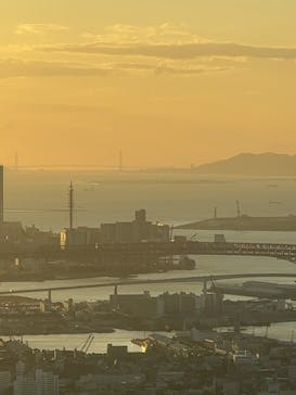 ハルカス300(展望台)に投稿された画像（2023/10/28）