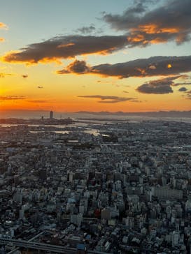 ハルカス300(展望台)に投稿された画像（2023/10/28）