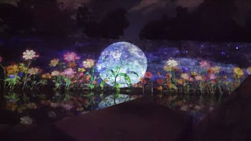 NAKED meets 二条城 2025 観月に投稿された画像（2023/10/28）