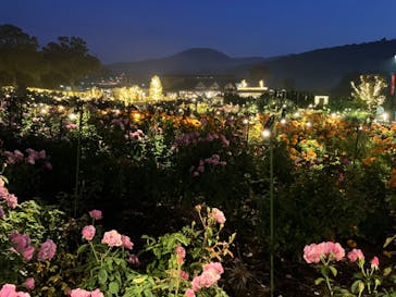 いばらきフラワーパークに投稿された画像（2023/10/28）