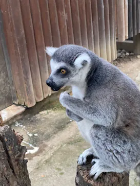 神戸どうぶつ王国に投稿された画像（2023/10/28）