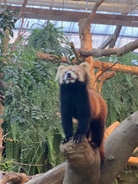 神戸どうぶつ王国に投稿された画像（2023/10/28）