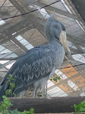 神戸どうぶつ王国に投稿された画像（2023/10/28）