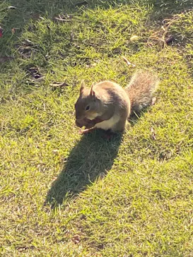 神戸どうぶつ王国に投稿された画像（2023/10/28）