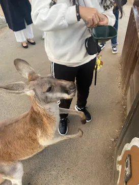 神戸どうぶつ王国に投稿された画像（2023/10/28）