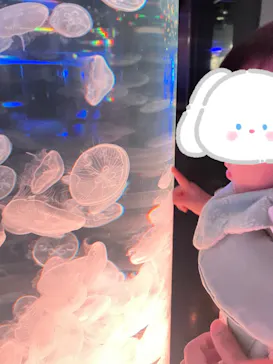 マクセル アクアパーク品川に投稿された画像（2023/10/28）