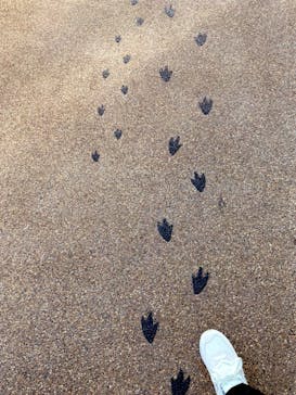 京都水族館に投稿された画像（2023/10/28）