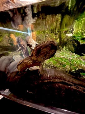 京都水族館に投稿された画像（2023/10/28）