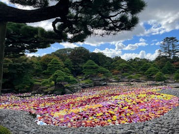 日本庭園　由志園に投稿された画像（2023/10/28）