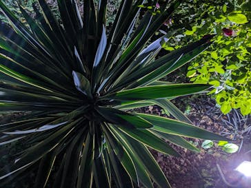 横浜イングリッシュガーデンに投稿された画像（2023/10/28）