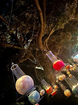 江の島シーキャンドルに投稿された画像（2023/10/28）