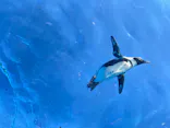 サンシャイン水族館に投稿された画像（2023/10/29）
