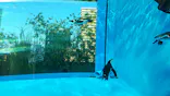 サンシャイン水族館に投稿された画像（2023/10/29）