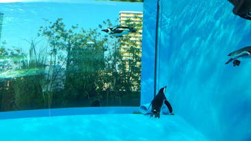 サンシャイン水族館に投稿された画像（2023/10/28）