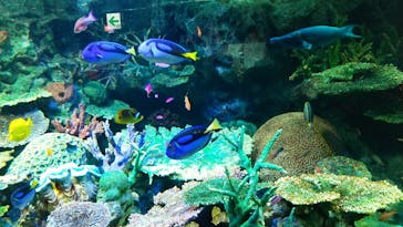 サンシャイン水族館に投稿された画像（2023/10/28）