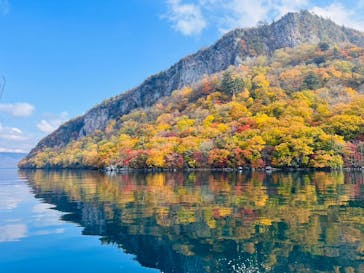 グリランド株式会社に投稿された画像（2023/10/28）