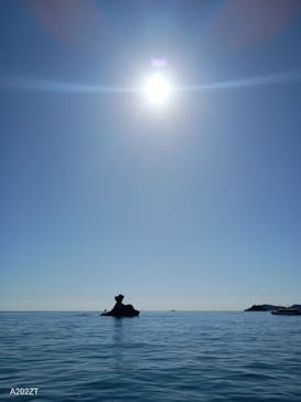 松島リブツアーに投稿された画像（2023/10/28）