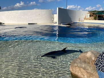 大分マリーンパレス水族館 「うみたまご」に投稿された画像（2023/10/28）
