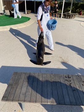 大分マリーンパレス水族館 「うみたまご」に投稿された画像（2023/10/28）