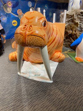 大分マリーンパレス水族館 「うみたまご」に投稿された画像（2023/10/28）