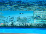 サンシャイン水族館に投稿された画像（2023/10/29）
