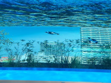 サンシャイン水族館に投稿された画像（2023/10/28）