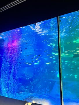 南知多ビーチランド＆南知多おもちゃ王国に投稿された画像（2023/10/28）