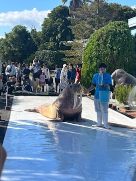 南知多ビーチランド＆南知多おもちゃ王国に投稿された画像（2023/10/28）