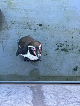 南知多ビーチランド＆南知多おもちゃ王国に投稿された画像（2023/10/28）