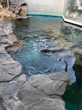 しながわ水族館に投稿された画像（2023/10/28）