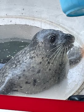 しながわ水族館に投稿された画像（2023/10/28）