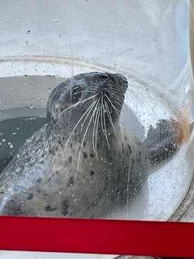 しながわ水族館に投稿された画像（2023/10/28）