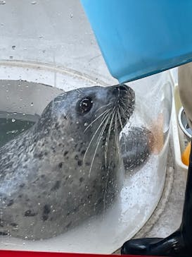 しながわ水族館に投稿された画像（2023/10/28）