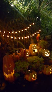 横浜イングリッシュガーデンに投稿された画像（2023/10/29）