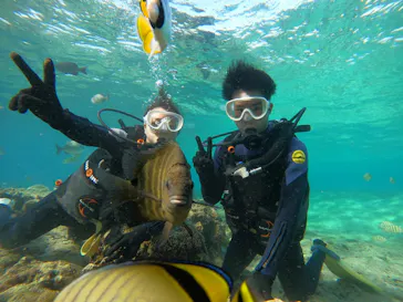 武藤潜水に投稿された画像（2023/10/29）