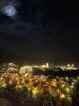 いばらきフラワーパークに投稿された画像（2023/10/29）