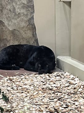 名古屋市東山動植物園に投稿された画像（2023/10/29）