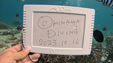 青の洞窟専門店　沖縄ダイビングショップ和に投稿された画像（2023/10/29）