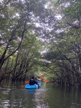 西表島 ADVENTURE PiPi（アドベンチャーピピ）に投稿された画像（2023/10/29）