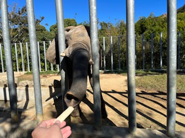 しろとり動物園に投稿された画像（2023/10/29）