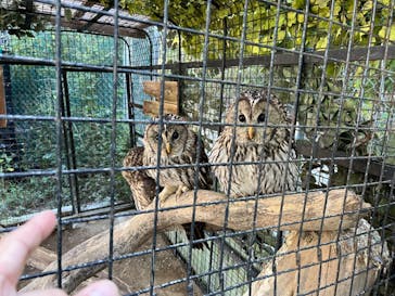 しろとり動物園に投稿された画像（2023/10/29）